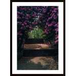 Flower Alley Poster