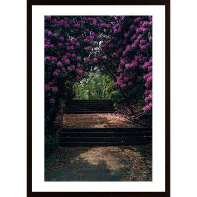 Flower Alley Poster