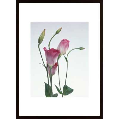 Flower Arrangements Poster