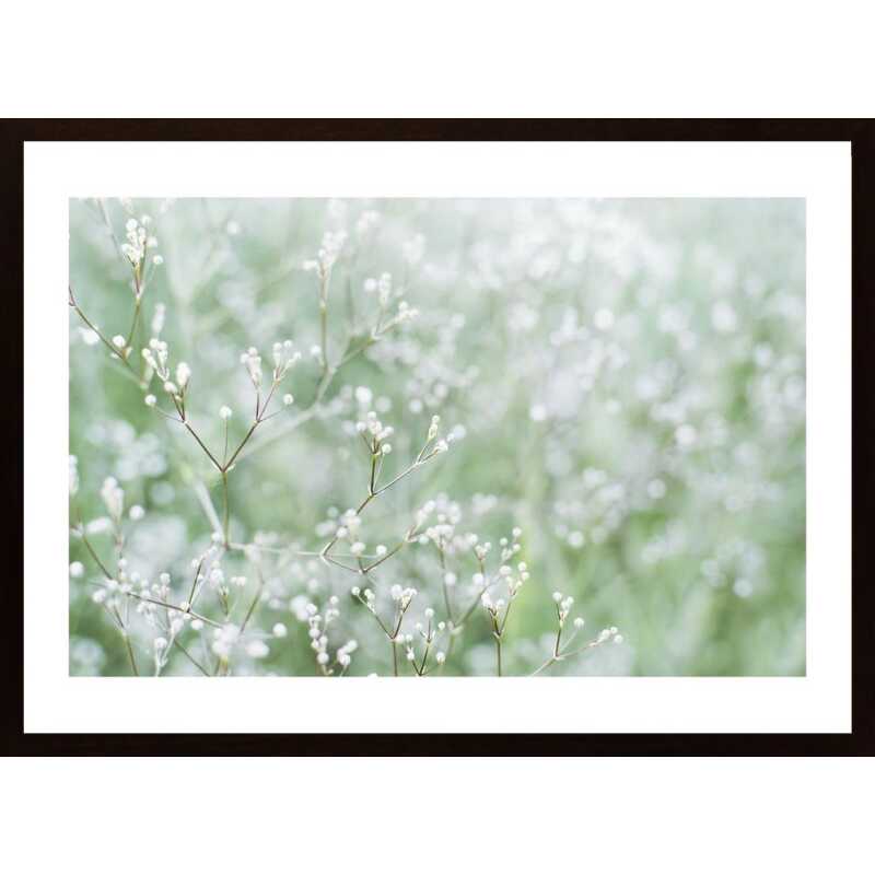 Flower Buds 1 Poster