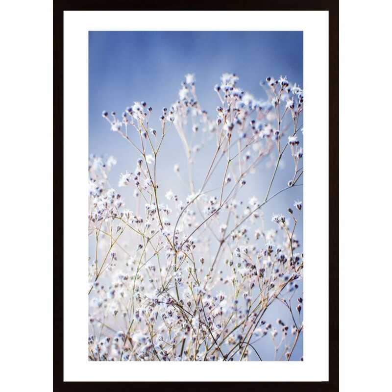 Flower Buds 2 Poster