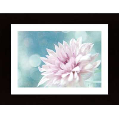 Flower Water And Light Poster