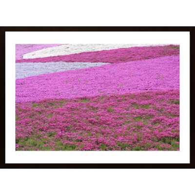 Flowering Fields Poster
