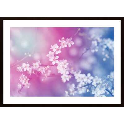 Flowering Tree Poster