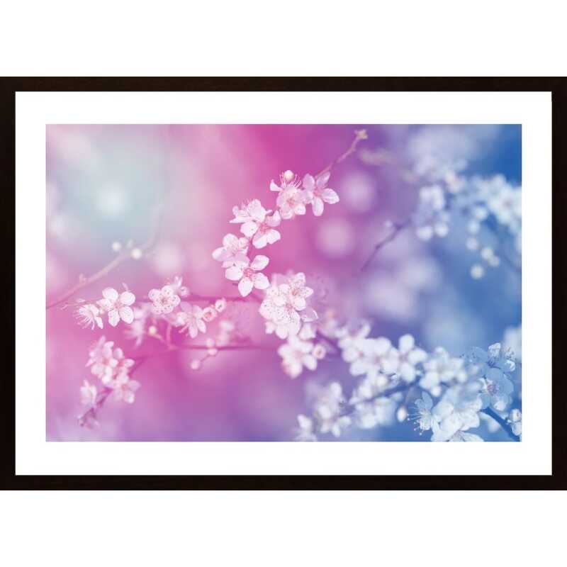 Flowering Tree Poster