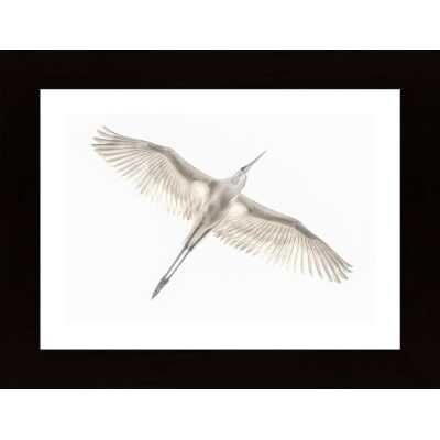Fly Poster