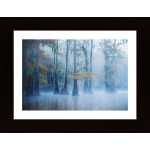 Foggy Swamp Morning Poster