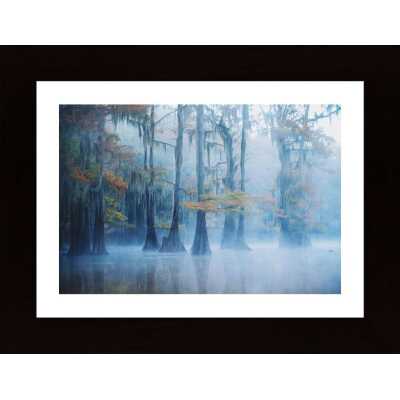Foggy Swamp Morning Poster