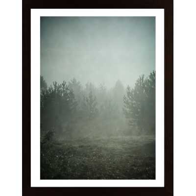 Forest Autumn Poster