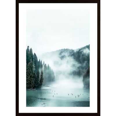 Forest Fog Poster