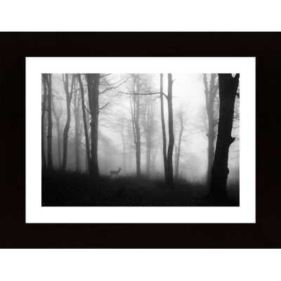 Forest Poster