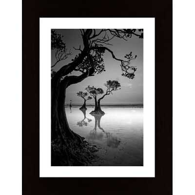 Framing Poster