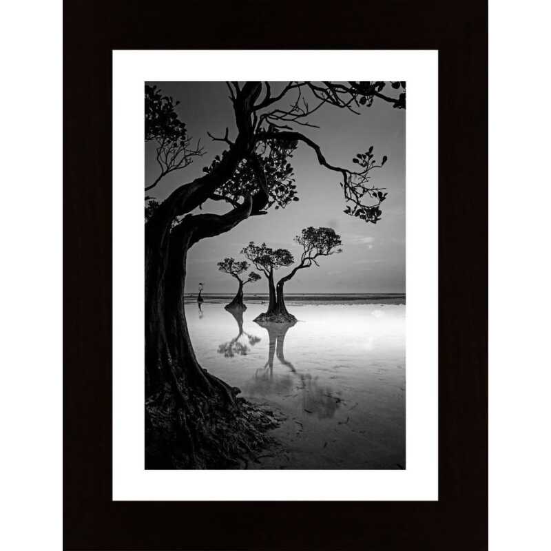 Framing Poster