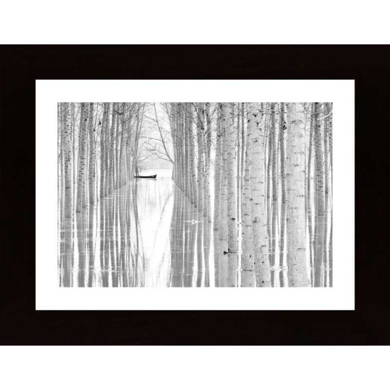 Free Movement Poster