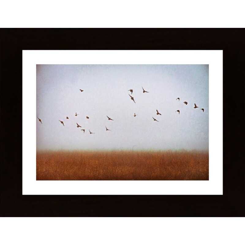 Freedom Poster