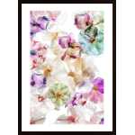 Ghost Orchids Poster