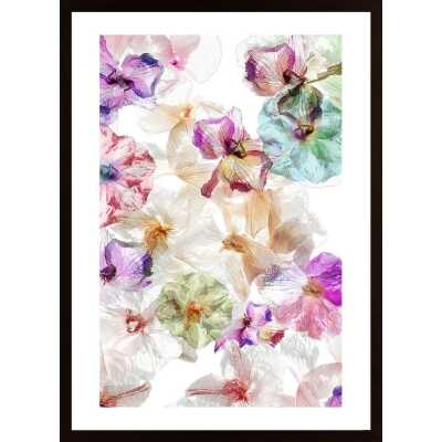Ghost Orchids Poster