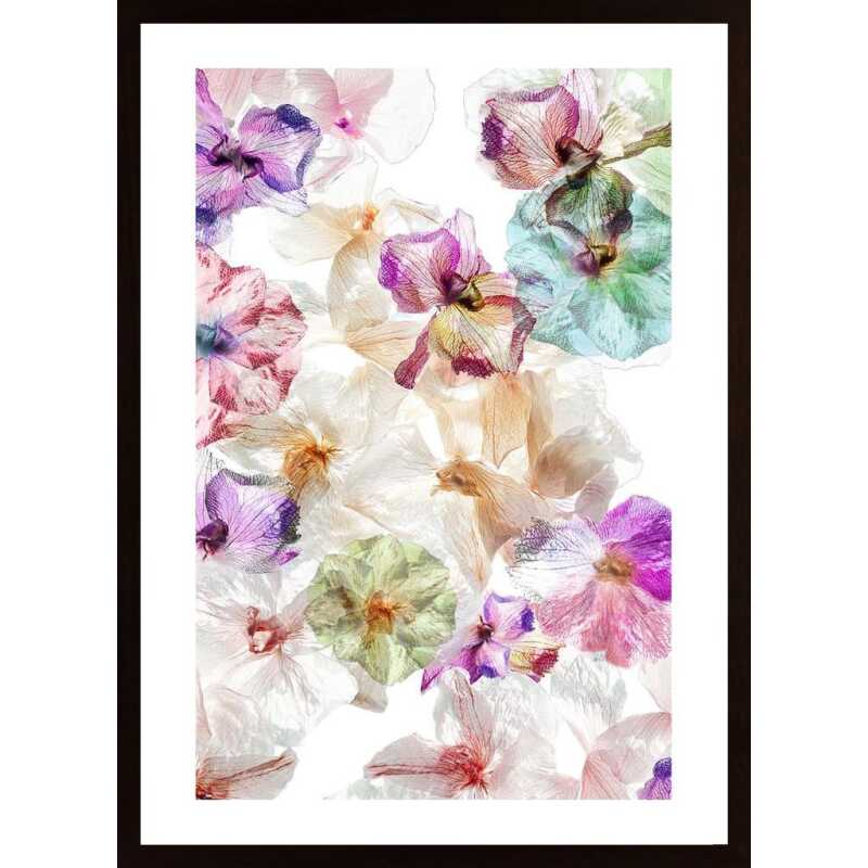 Ghost Orchids Poster
