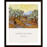 Gogh - Olive Trees Poster