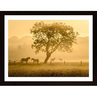 Golden Horses Poster