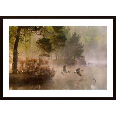 Goose Fight Poster