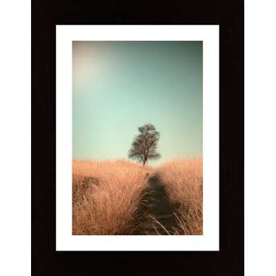 Grass And Path Poster
