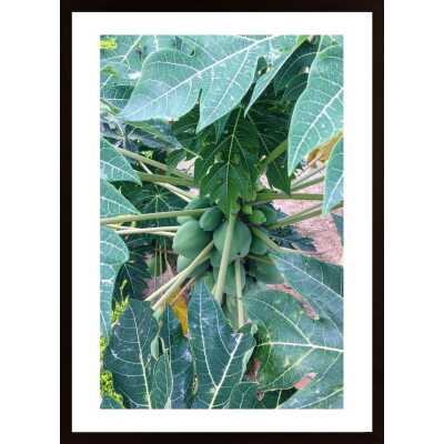 Green Leaf Poster