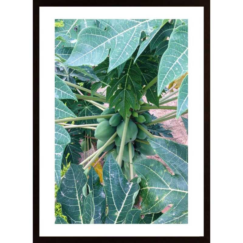 Green Leaf Poster