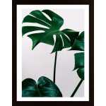 Green Leaves Poster