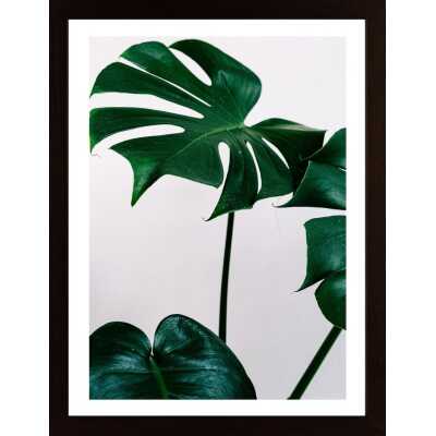 Green Leaves Poster