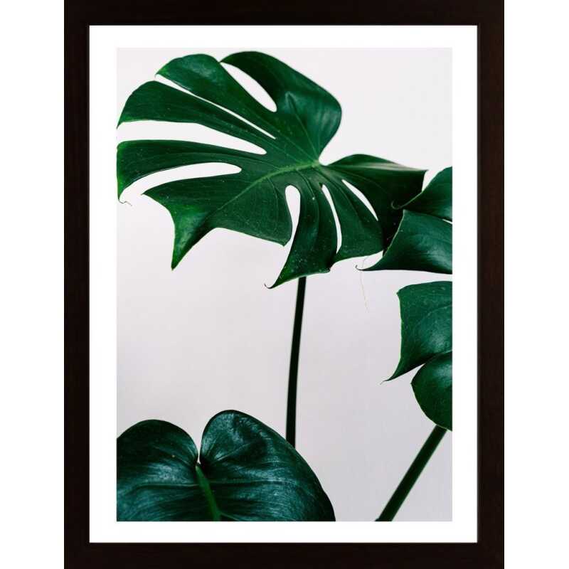 Green Leaves Poster