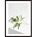 Green Plant 2 Poster