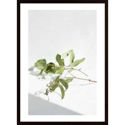 Green Plant 2 Poster