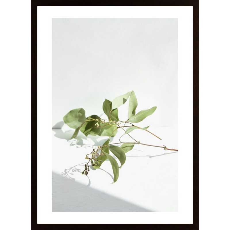 Green Plant 2 Poster