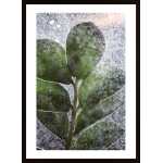 Green Plant And Water Poster