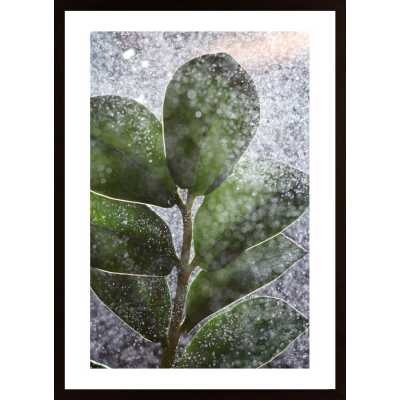 Green Plant And Water Poster