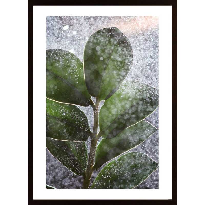 Green Plant And Water Poster