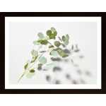 Green Plant Poster