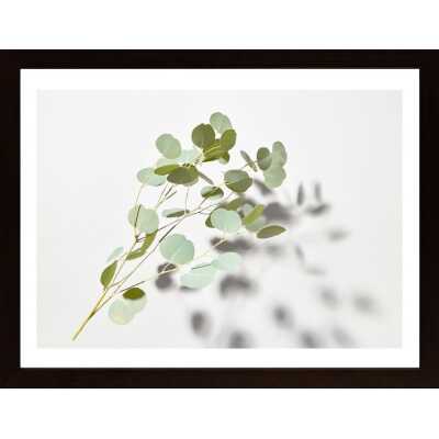Green Plant Poster