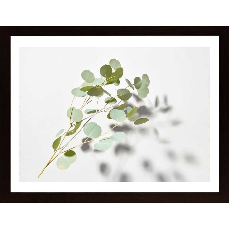 Green Plant Poster