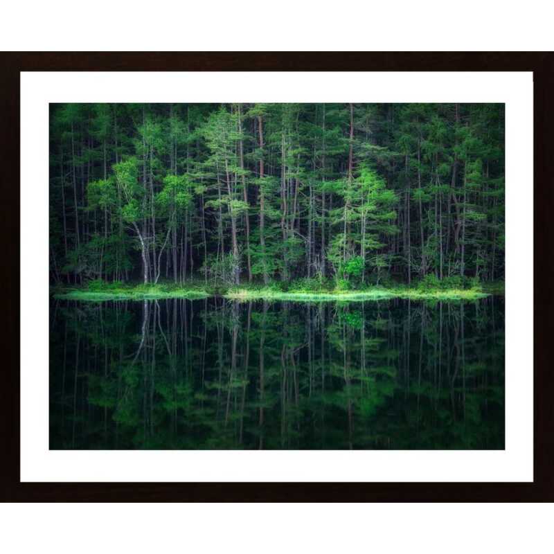 Green World Poster