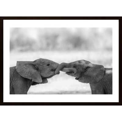 Greetings Poster