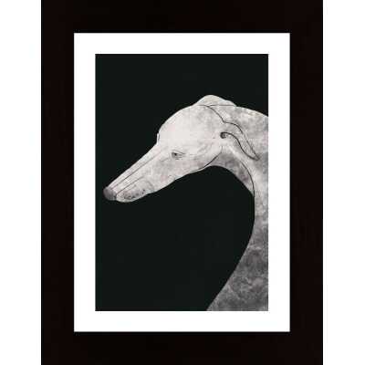 Greyhound Black And White 02 Poster