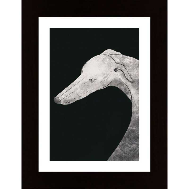 Greyhound Black And White 02 Poster