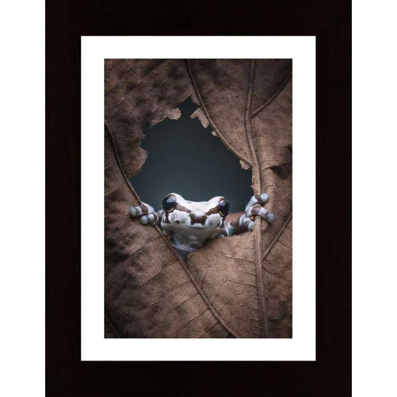 Hello Poster