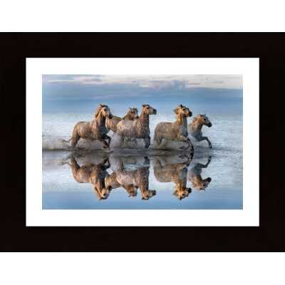 Horses And Reflection Poster