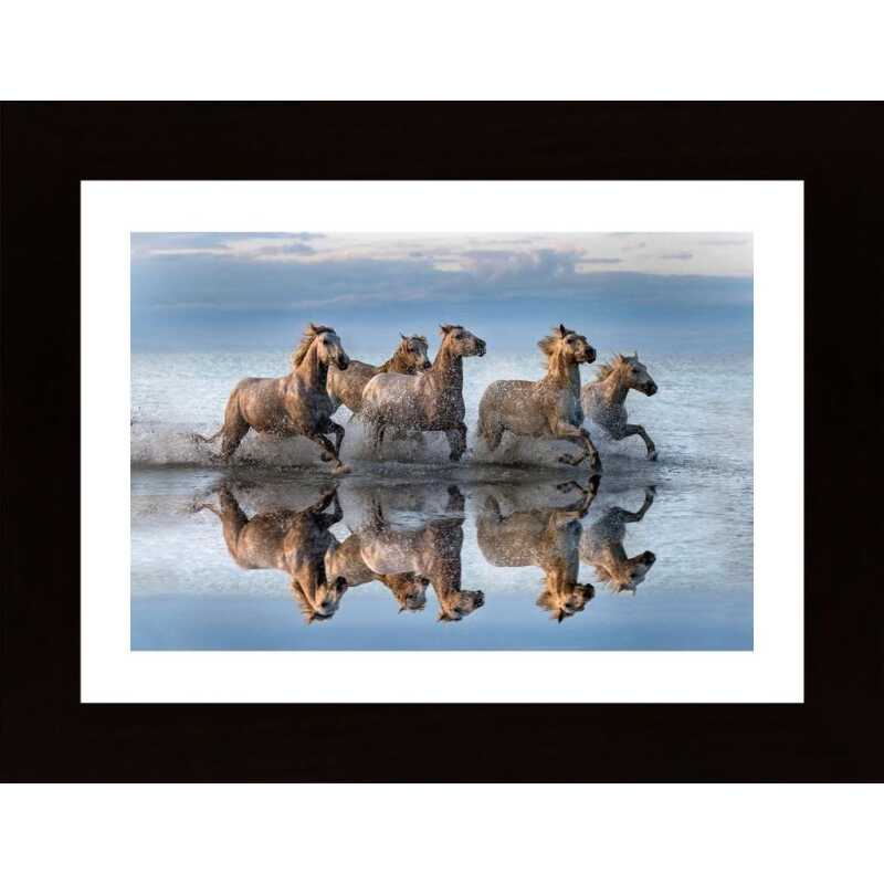 Horses And Reflection Poster