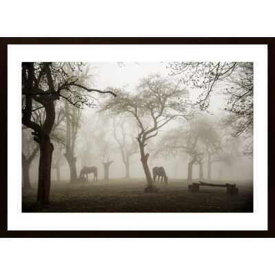 Horses In A Foggy Orchard Poster