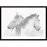 Horses Poster