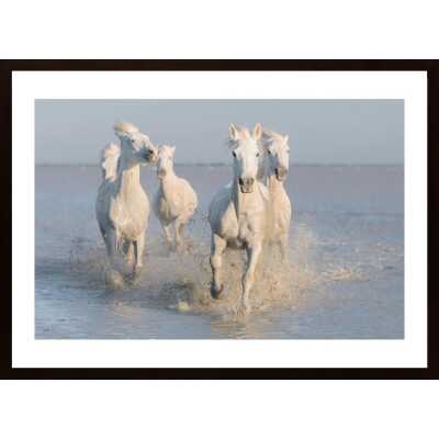 Horses Poster